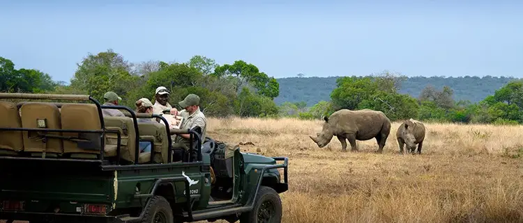 Grande Safari na África do Sul