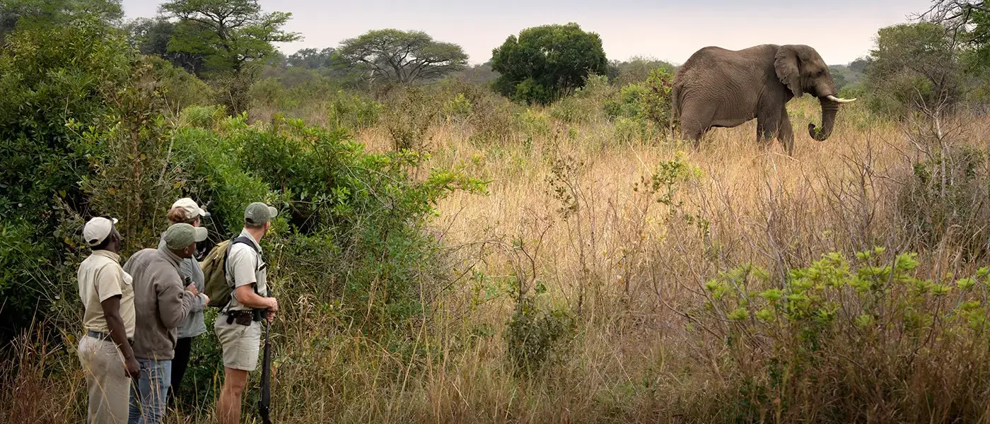 Grande Safari na África do Sul