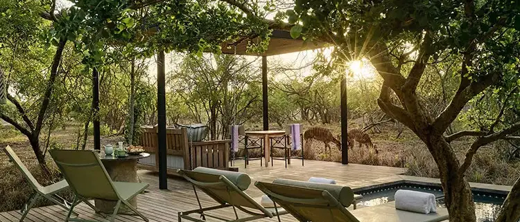 O Melhor da África do Sul - Deluxe
