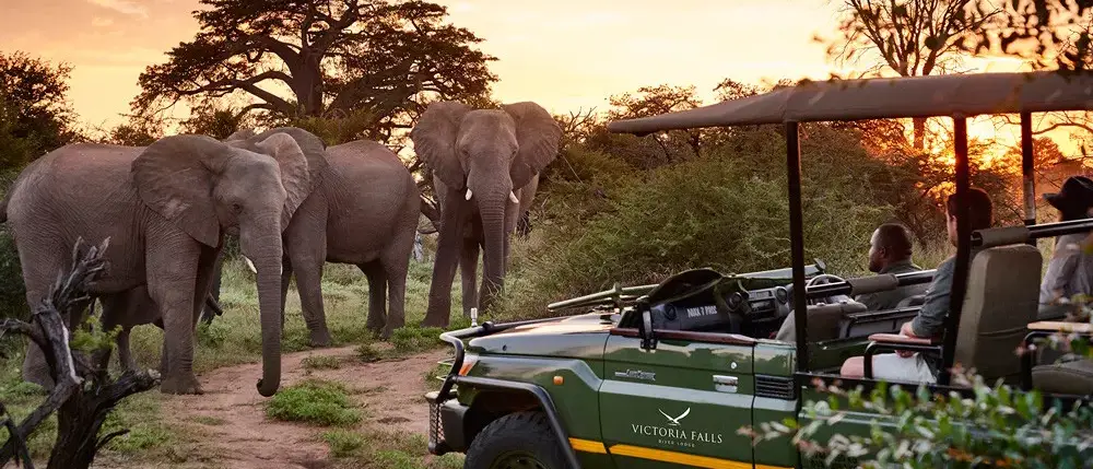 Victoria Falls by Victoria Falls River Lodge