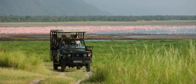 Tanzania Safari