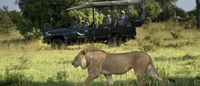 Tanzania Safari