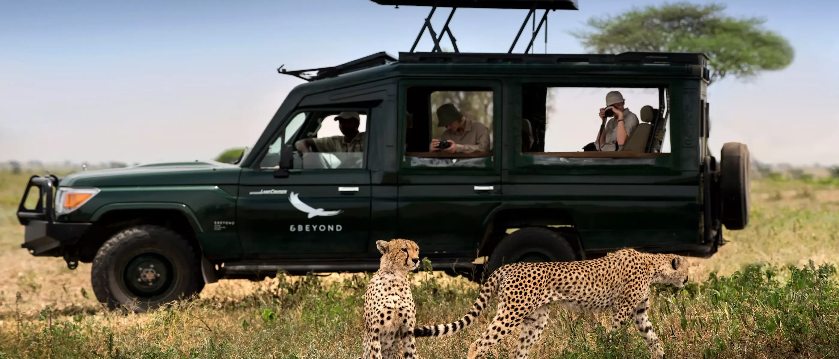 Tanzania Safari