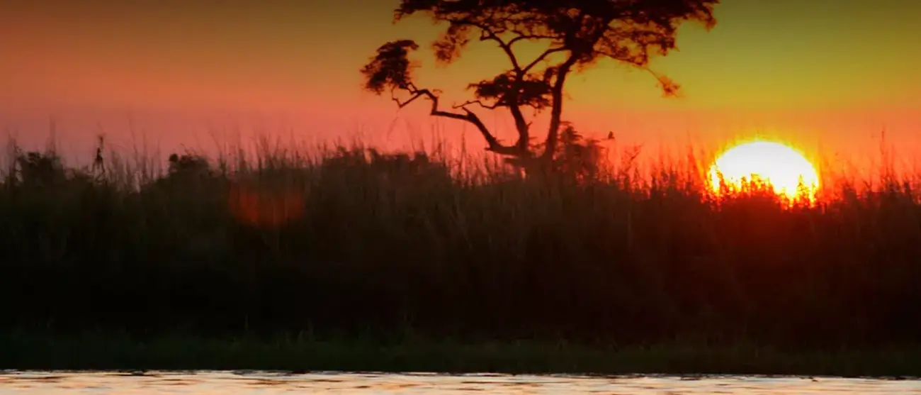 Maravilhas de Botswana