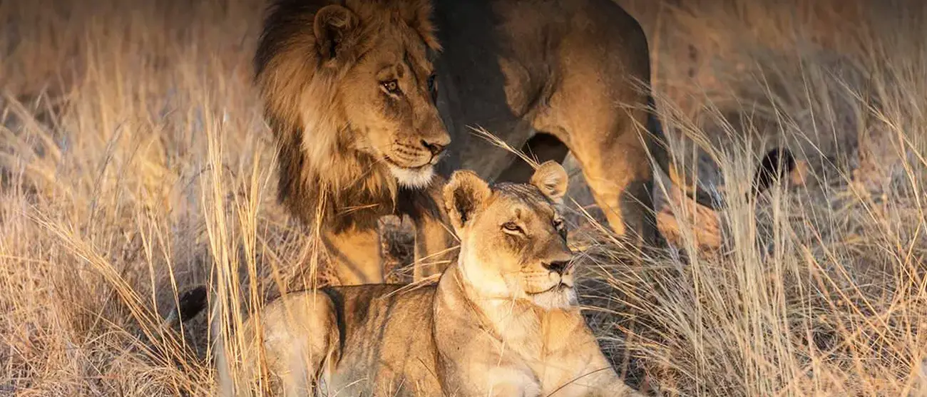 Riquezas de Botswana