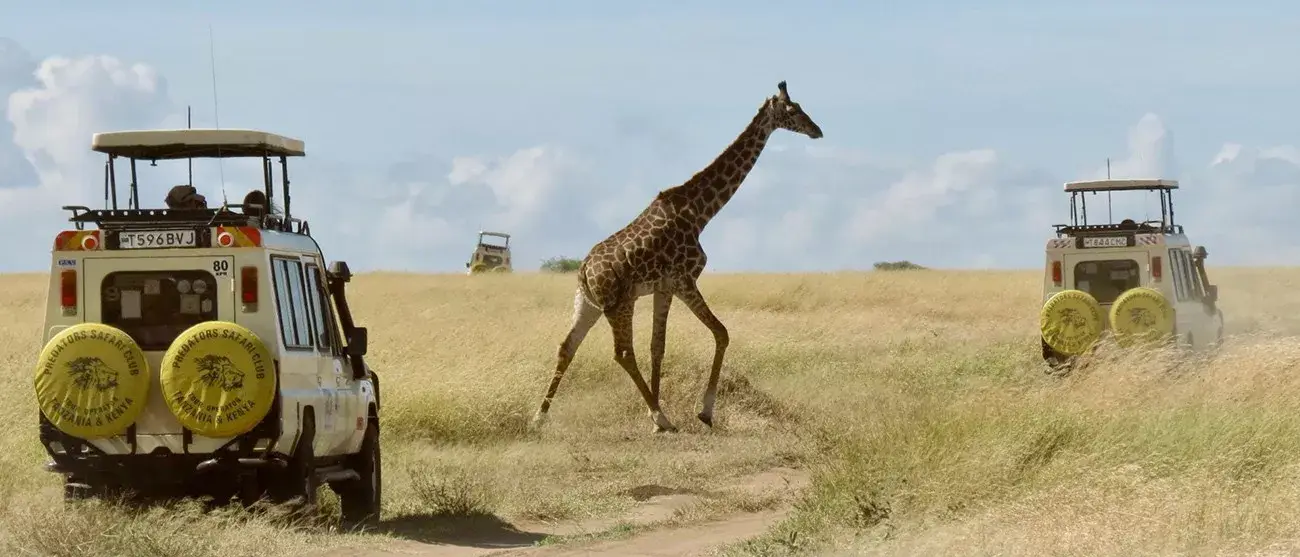 Tanzânia Inesquecível e Zanzibar