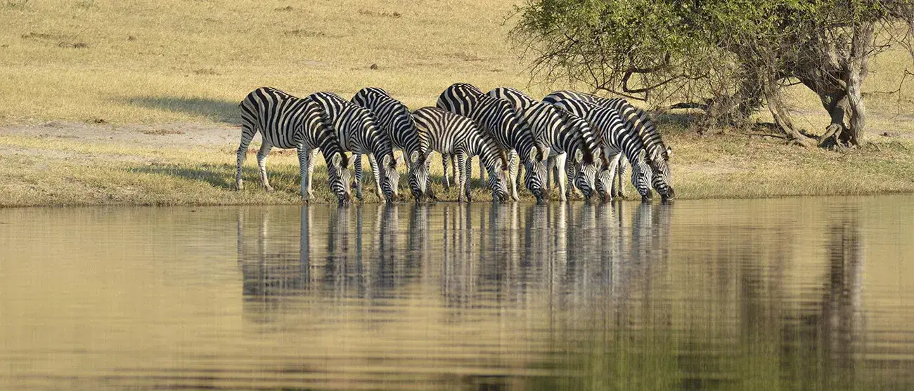 Tanzânia Inesquecível e Zanzibar