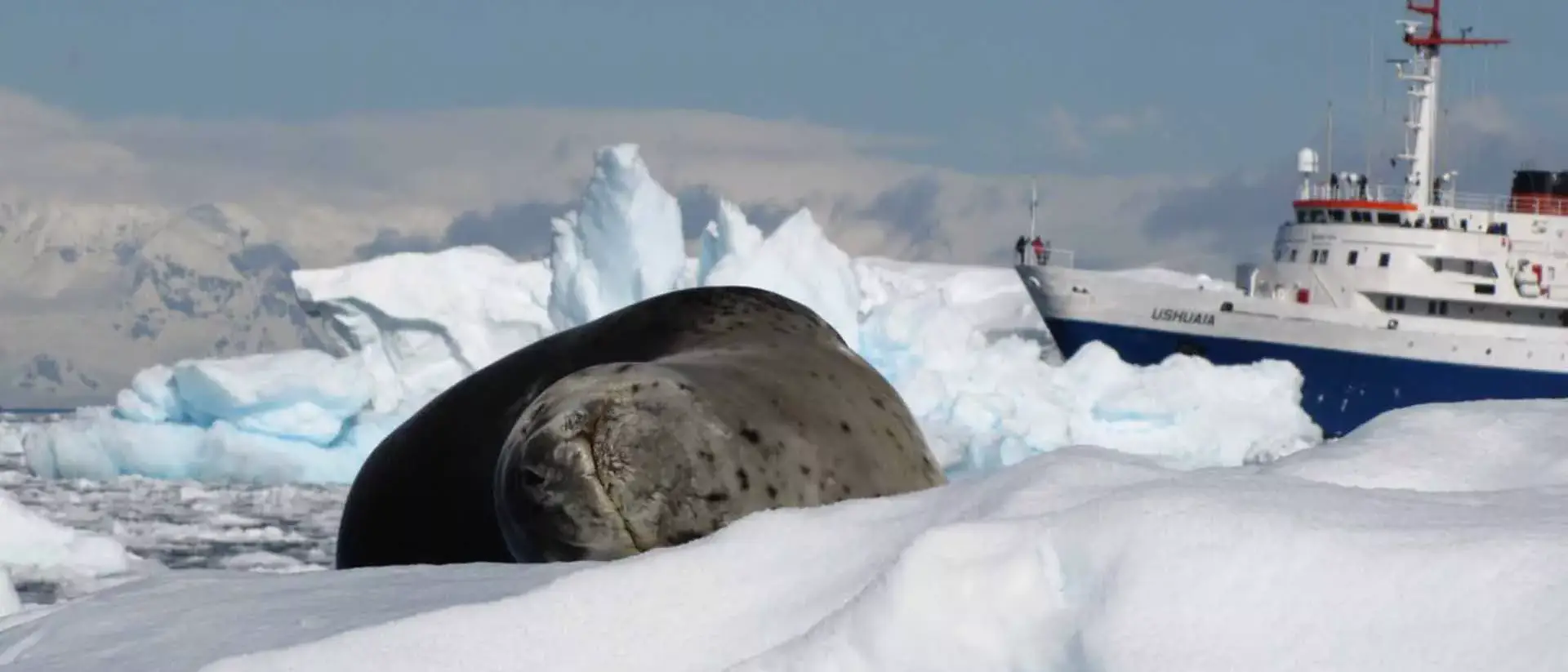 Expedições Antartica 