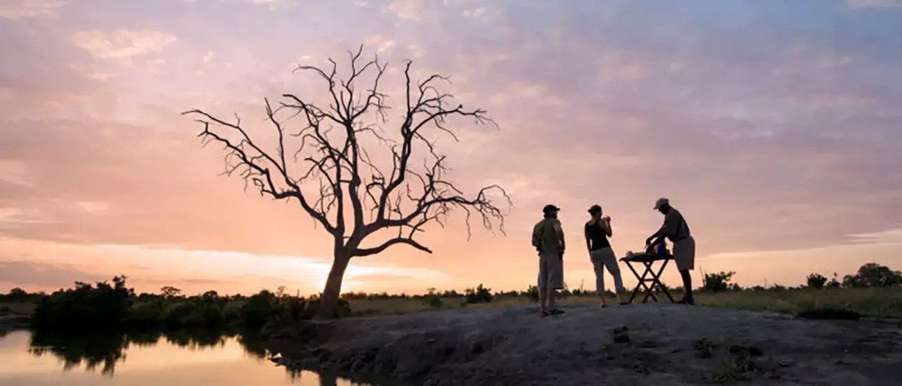 Table Mountain, Vida Selvagem e Victoria Falls