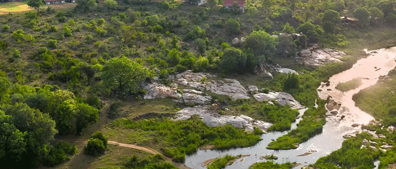 Table Mountain, Vida Selvagem e Victoria Falls