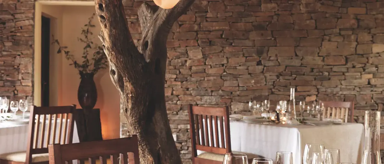 Safari Luxury no Mara Bushtops