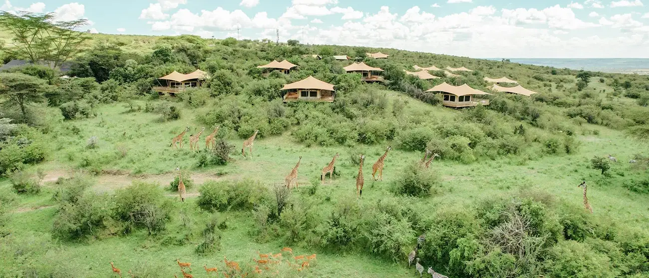 Safari Luxury no Mara Bushtops