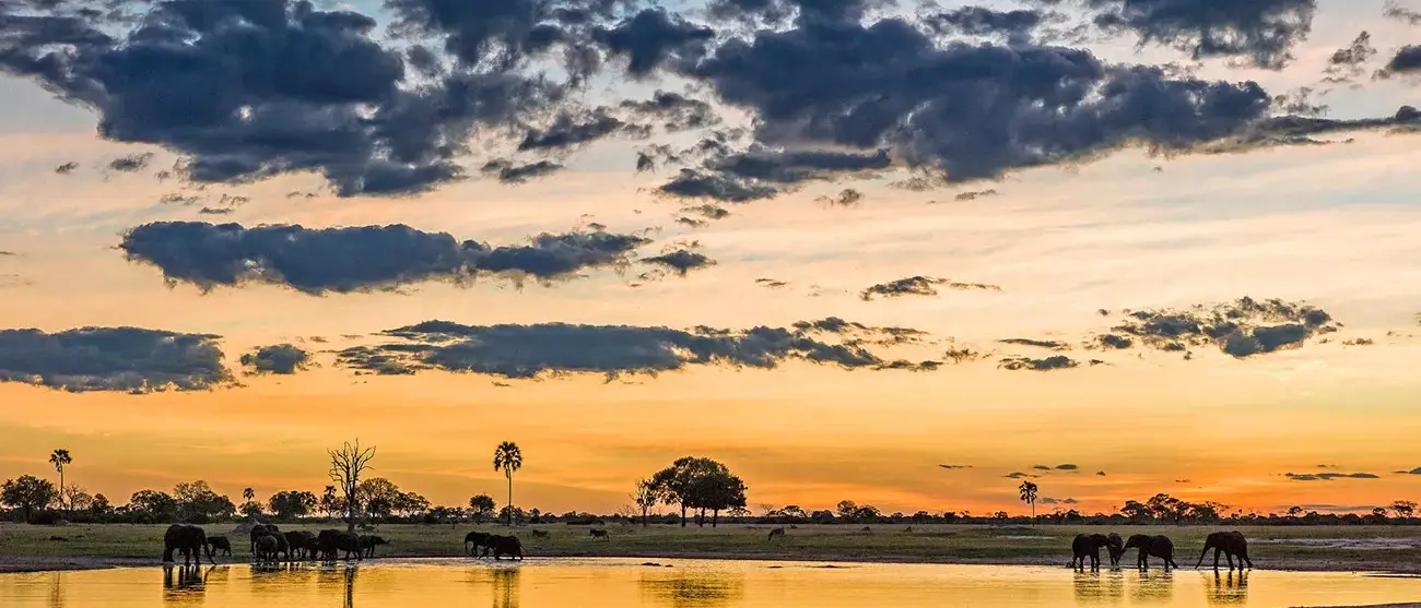 Victoria Falls e Safáris pelo Zimbábue