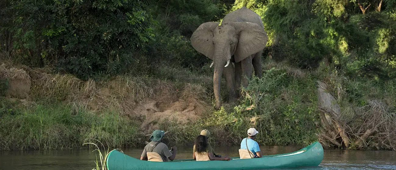 O Melhor da Zâmbia com Safáris e Victoria Falls