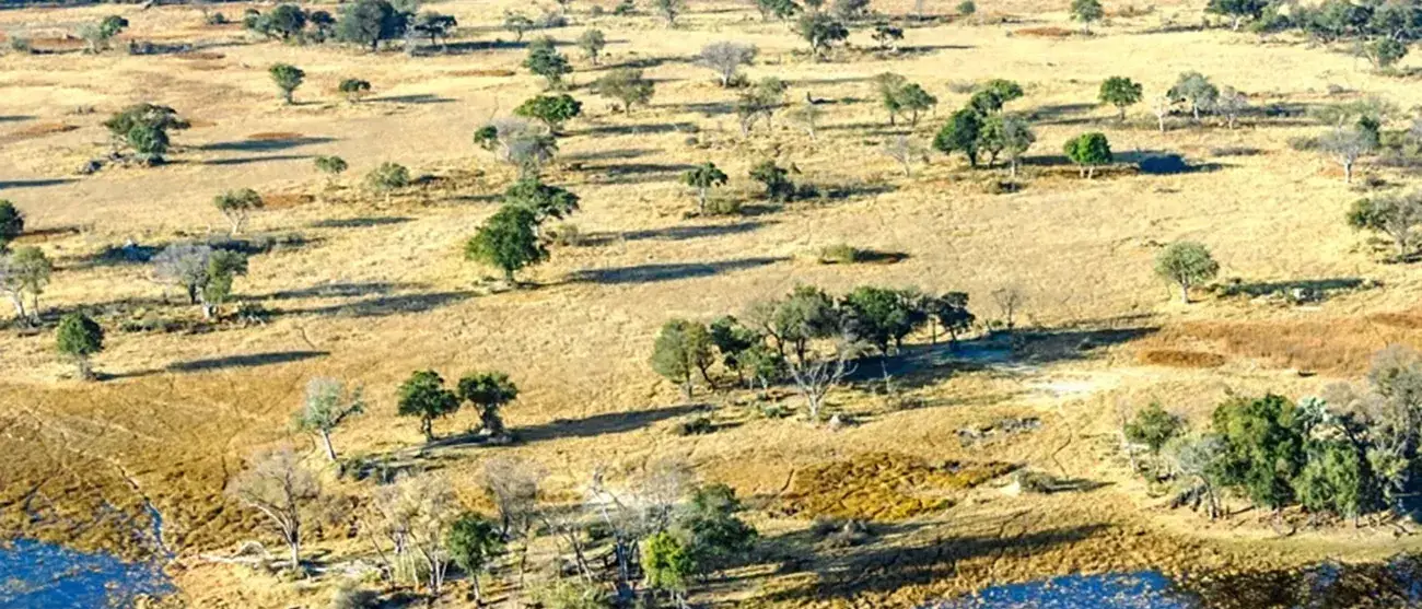 Safari de Luxo em Cataratas Vitória e Delta do Okavango