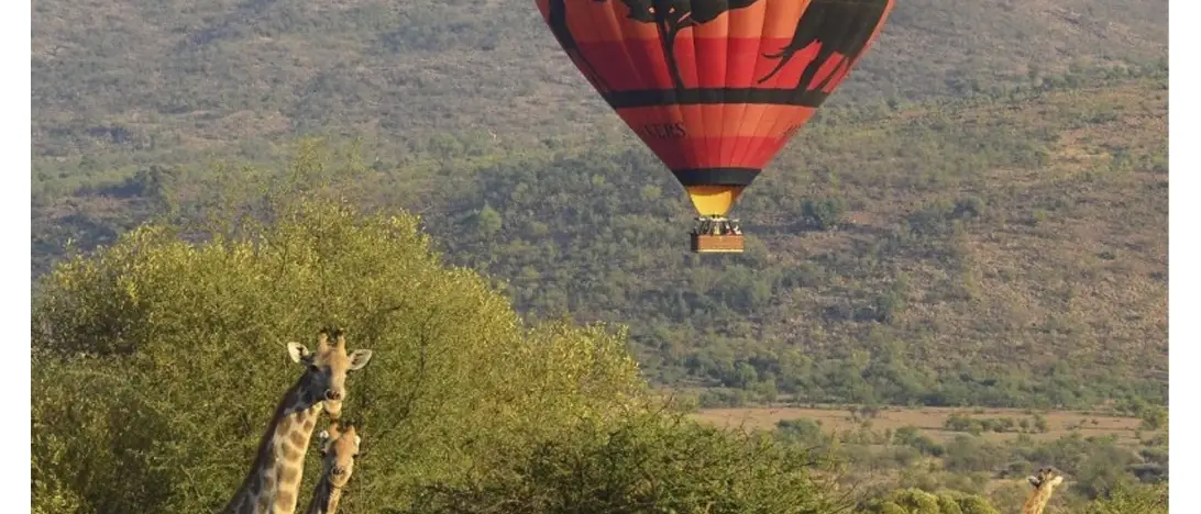 Sun City and Safari Experience