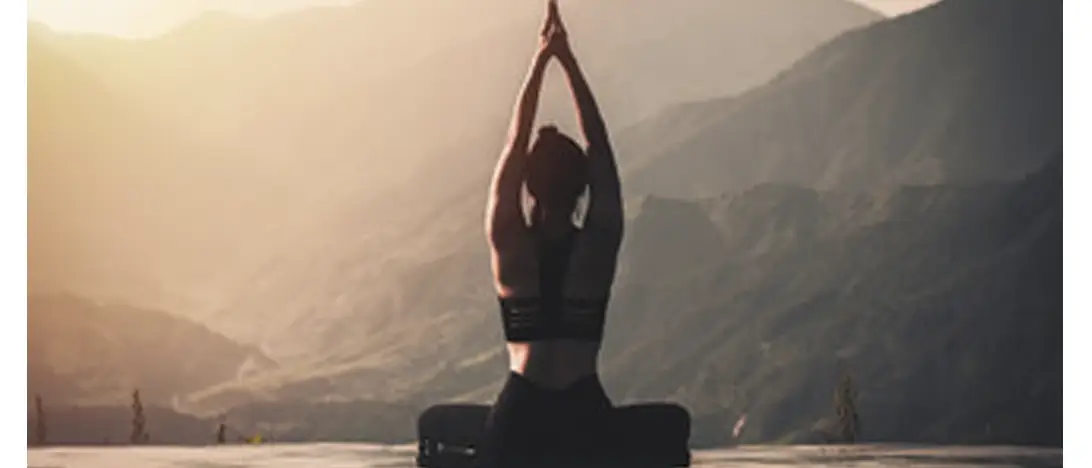 Wellness and Winelands