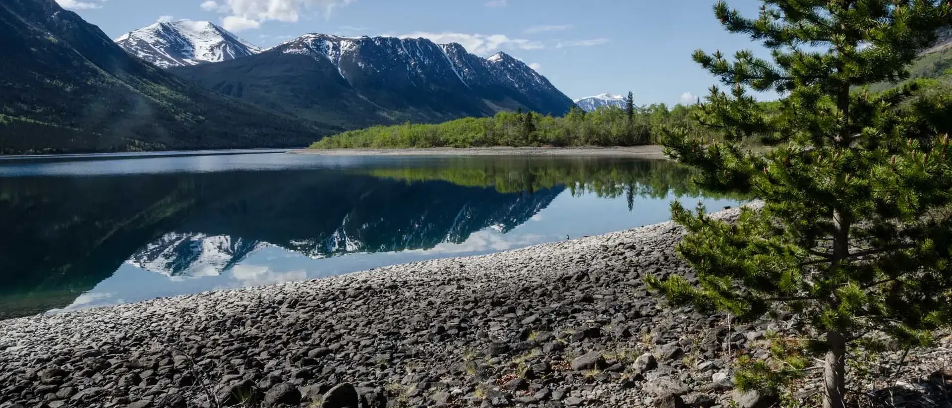 canada-whitehorse-wild
