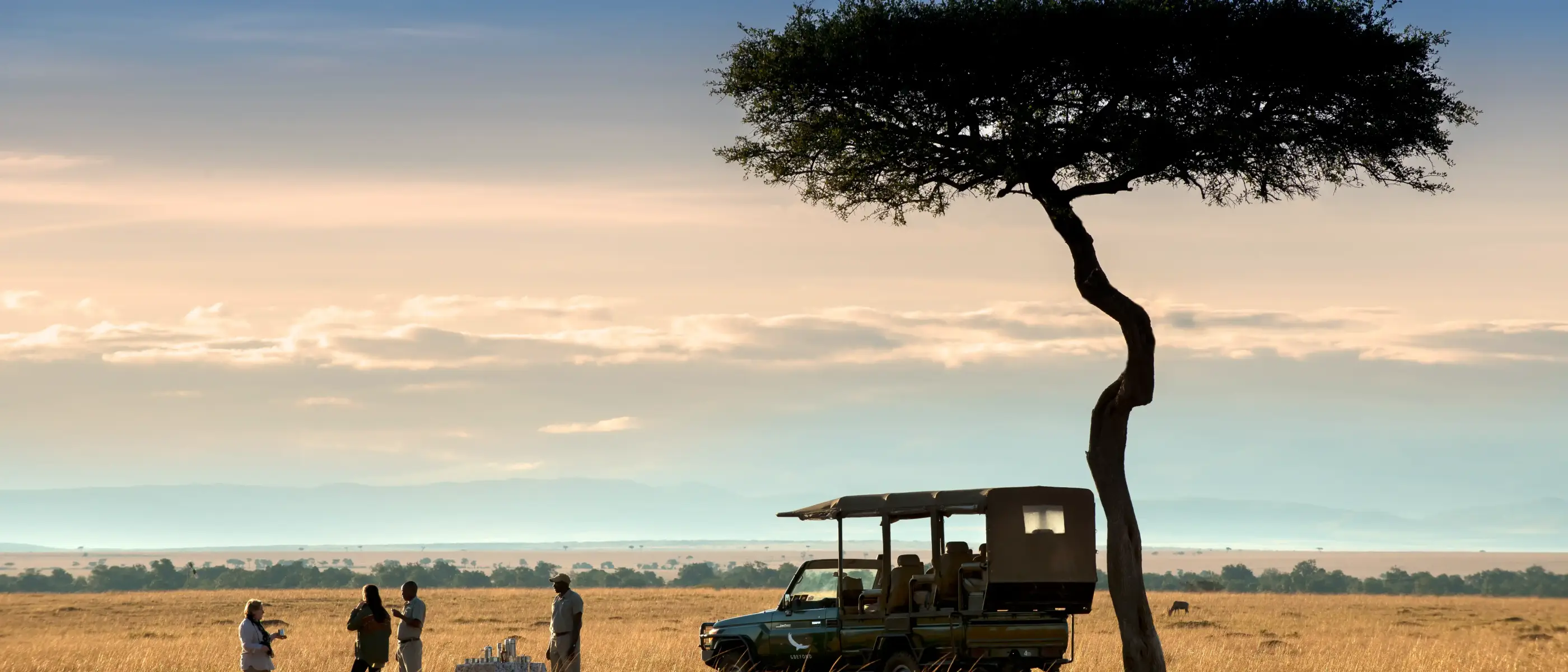 Kenya-camp-tree