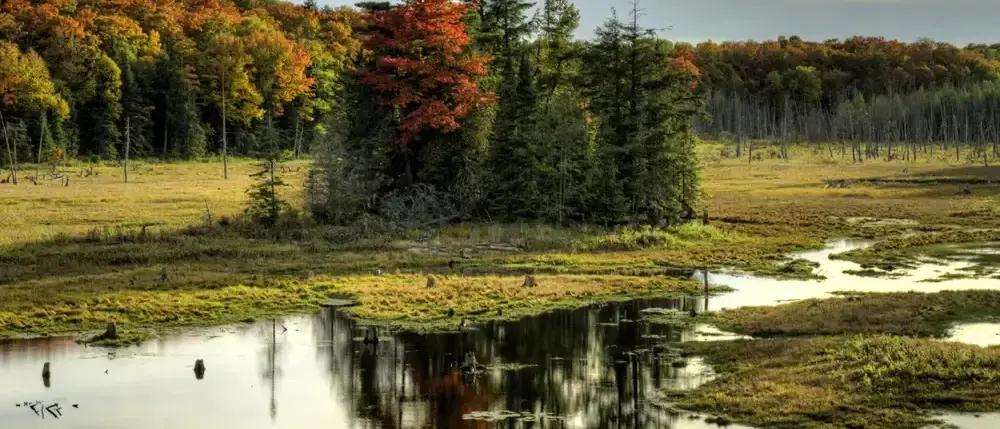 Parque de Algonquin, em Ontario, Canadá