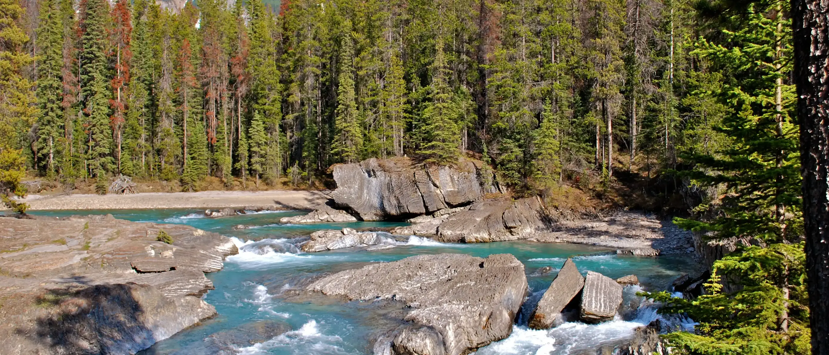 Ponte natural no Canadá