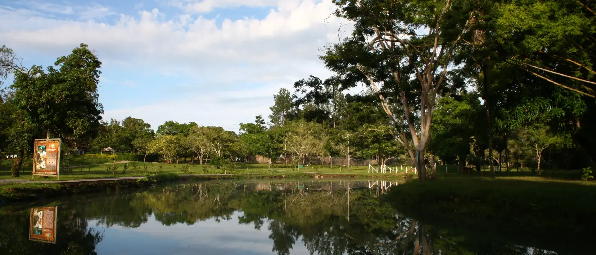 brasil-goias-piratipinga-02