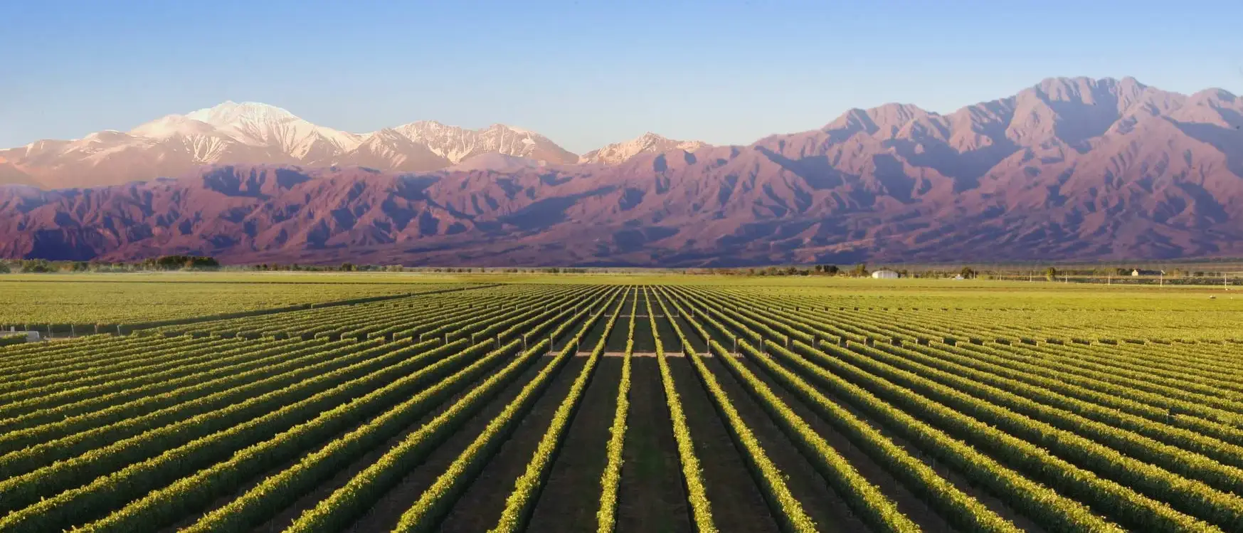Vinícola em Lujan de Cujo, Mendoza