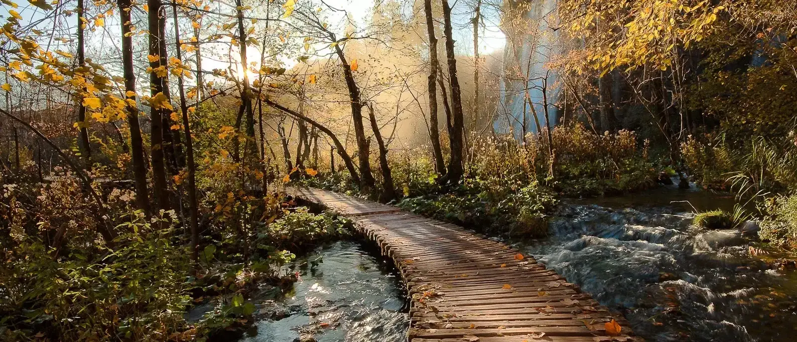 Trilha no Parque Nacional Plitvice, Croácia
