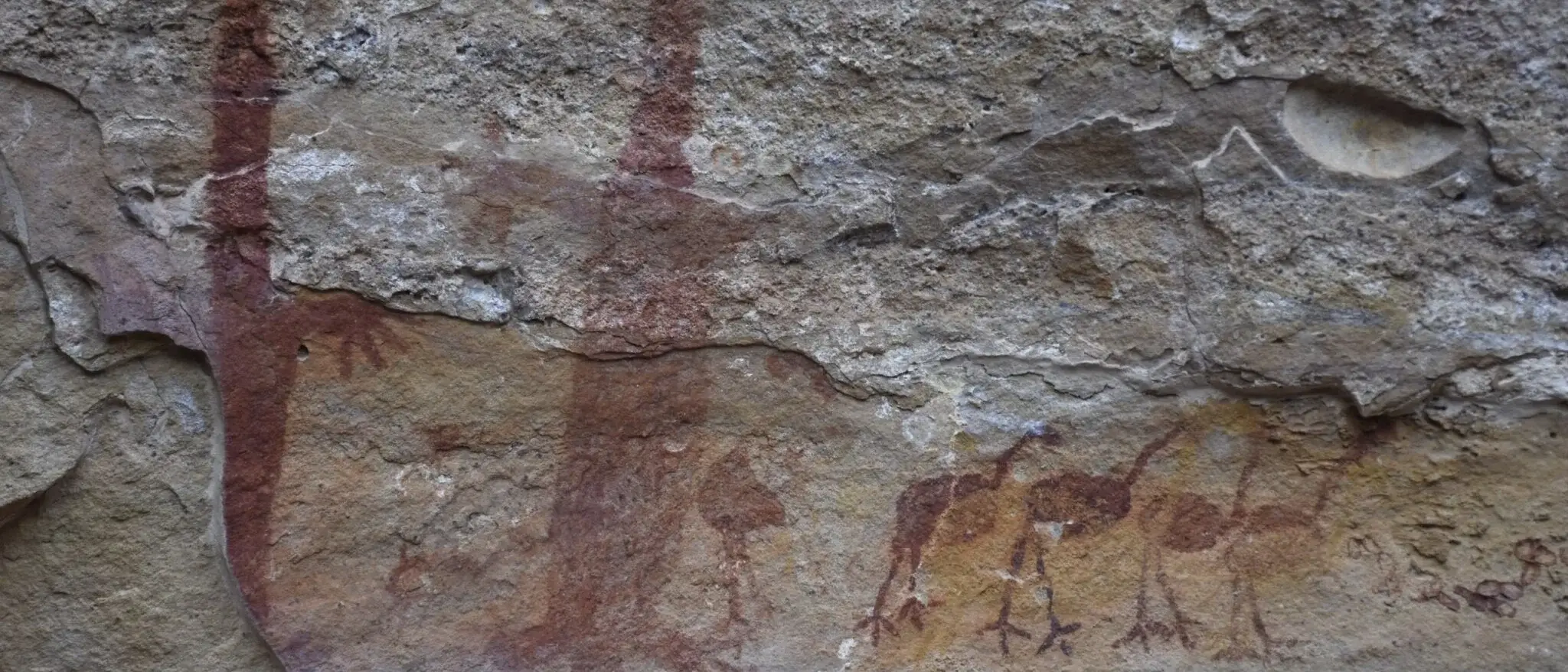 Pintura Rupestre, Serra da Capivara