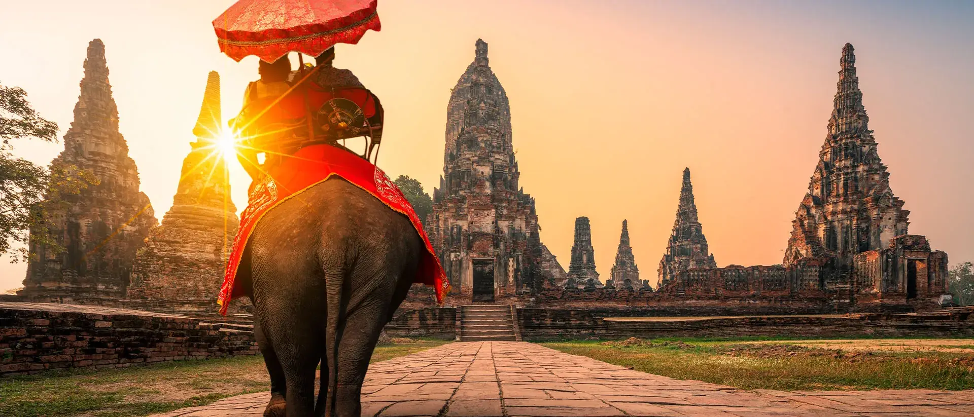 Elephant-Wat-chai-Watthanaram