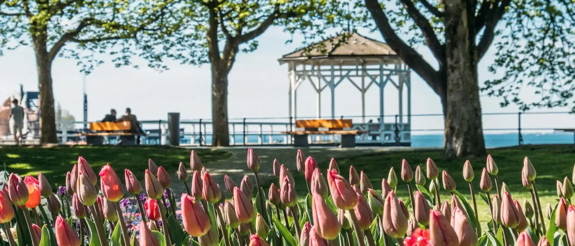 Constança, Bregenz, Austria