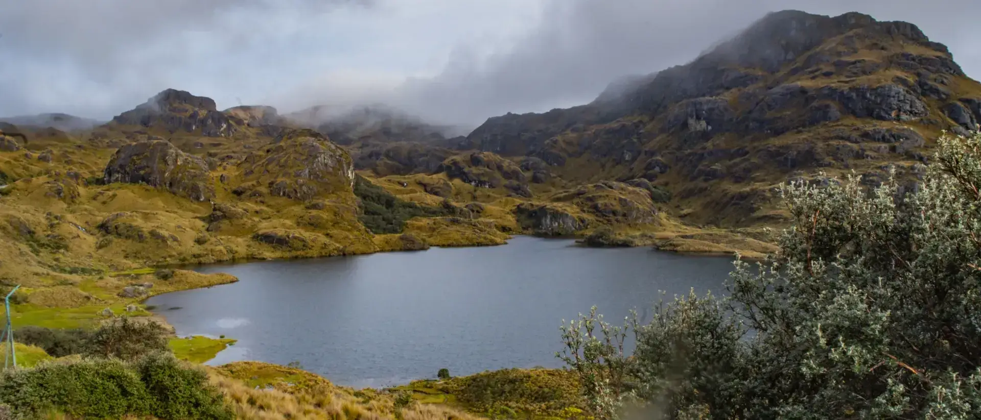 Parque Nacional El Cajas, Equador