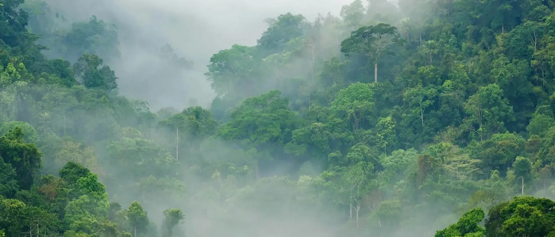 Monteverde, Costa Rica