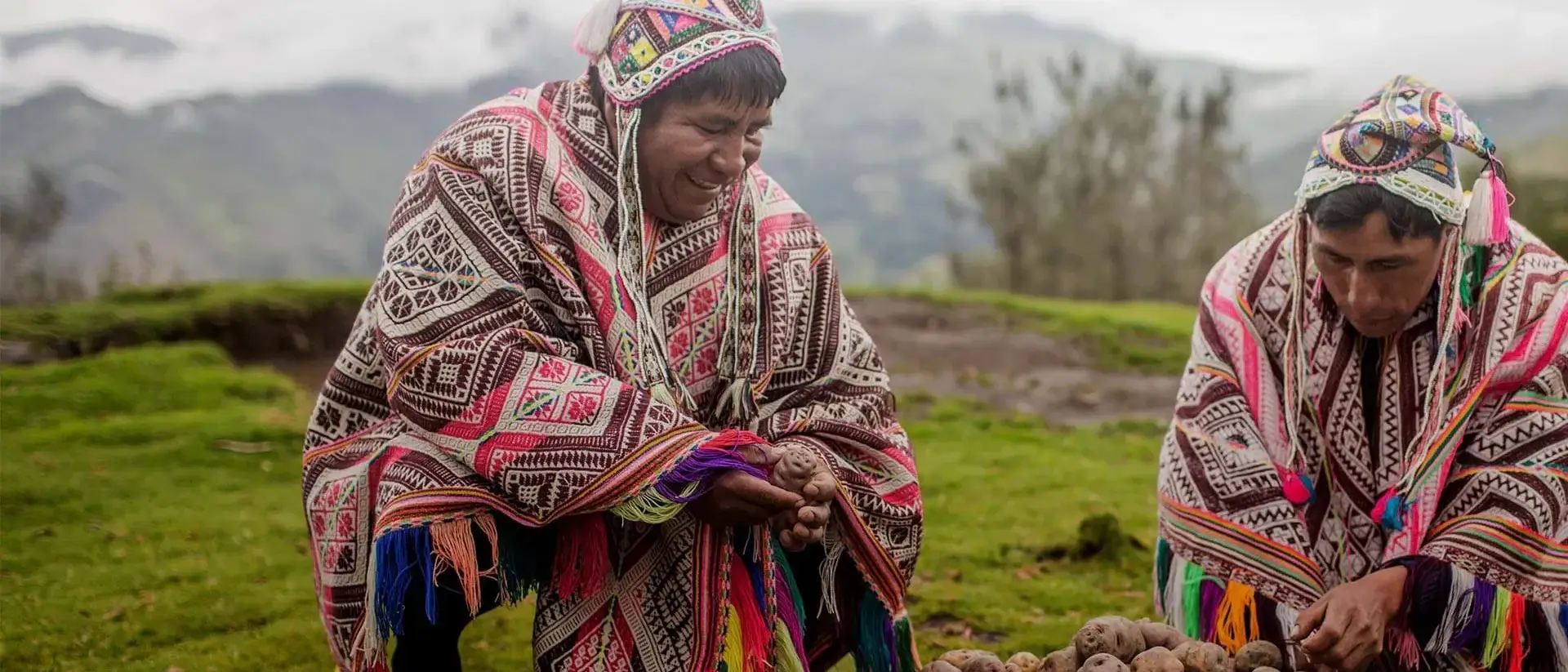 Batatas, Cusco, Peru