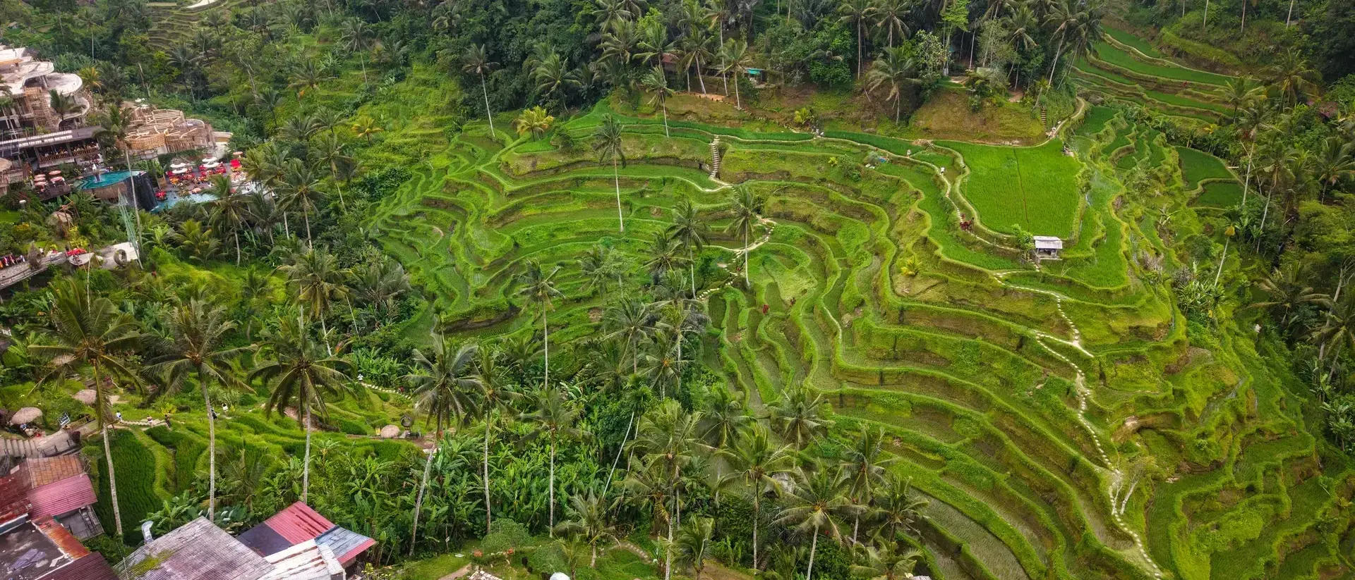 Tegallalang Rice Terrace em Bali, Indonésia