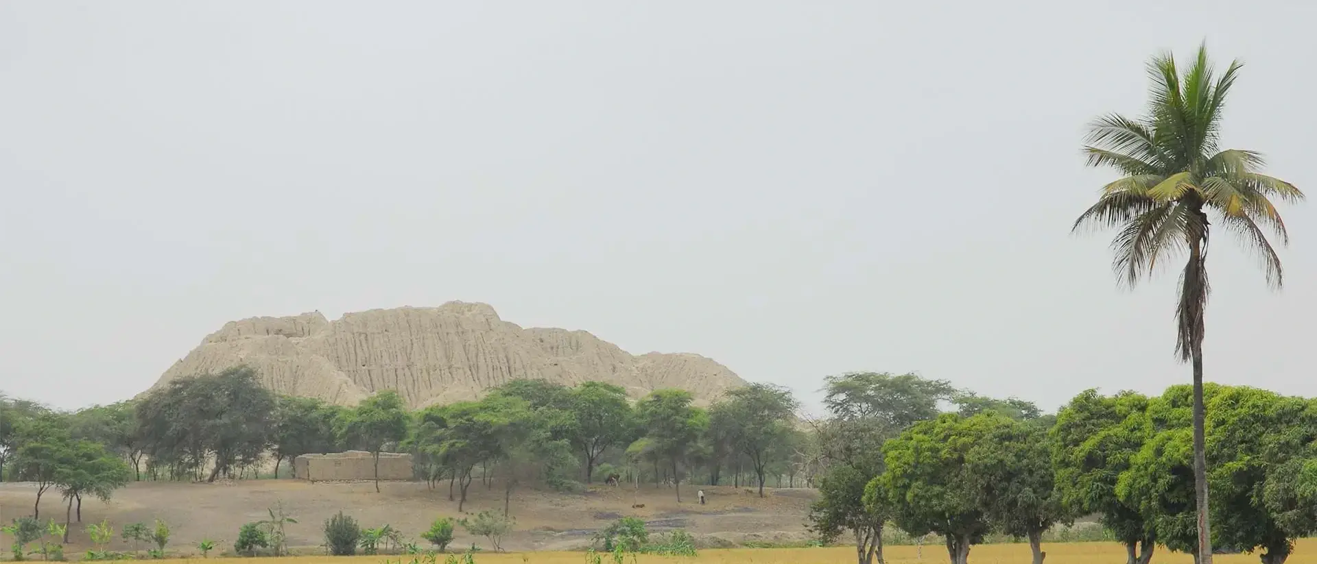 Tucume, Peru