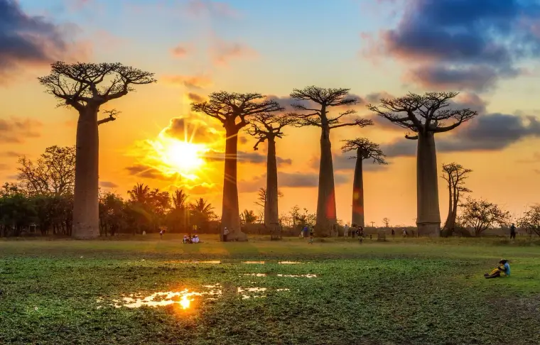 Pacote de viagem Madagascar