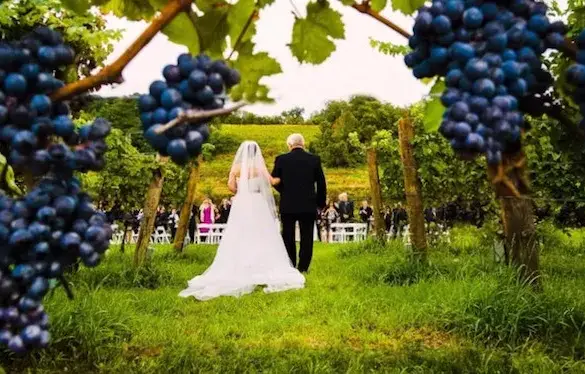 Pacote de casamento Casamento em uma Vinícola na Argentina