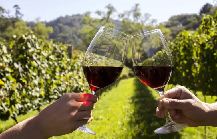 Pacote de casamento Casamento em uma Vinícola no Chile