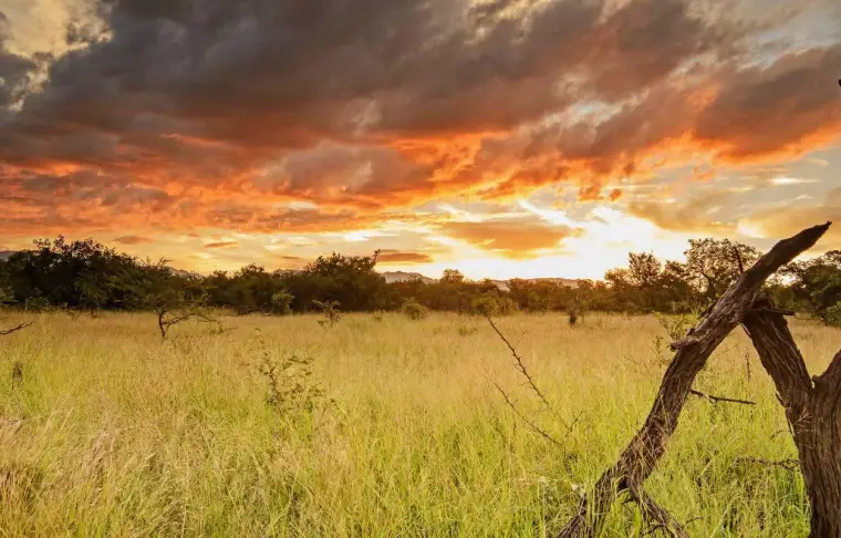 Pacote de viagem Karongwe Portfolio