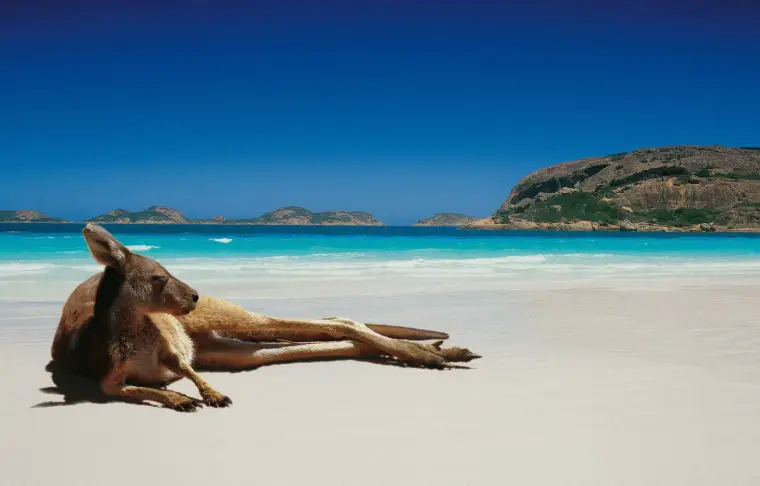 Pacote de viagem Nova Zelândia e Austrália