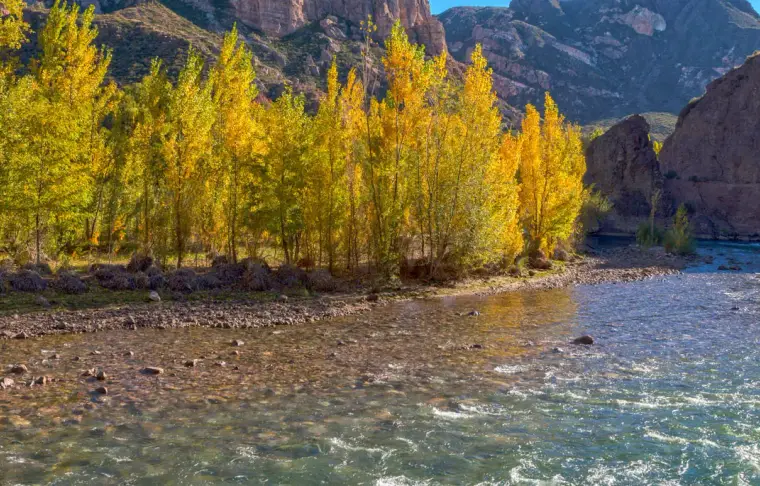 Pacote de viagem Santiago e Mendoza