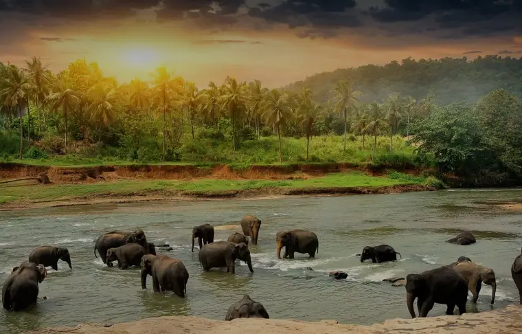 Pacote de viagem Sri Lanka Primeiras Impressões