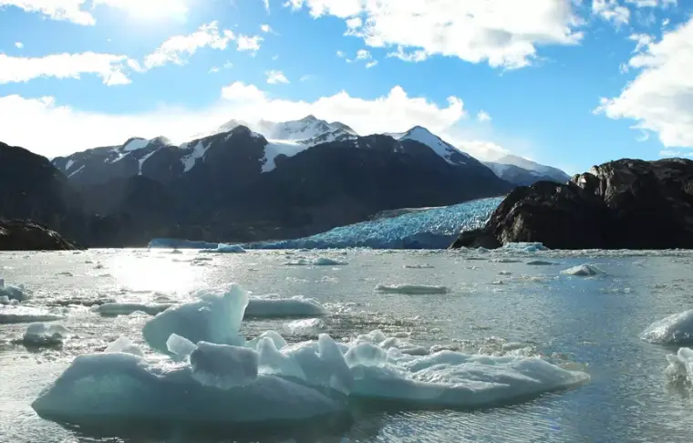 Pacote de viagem Rota de Darwin saindo de Punta Arenas