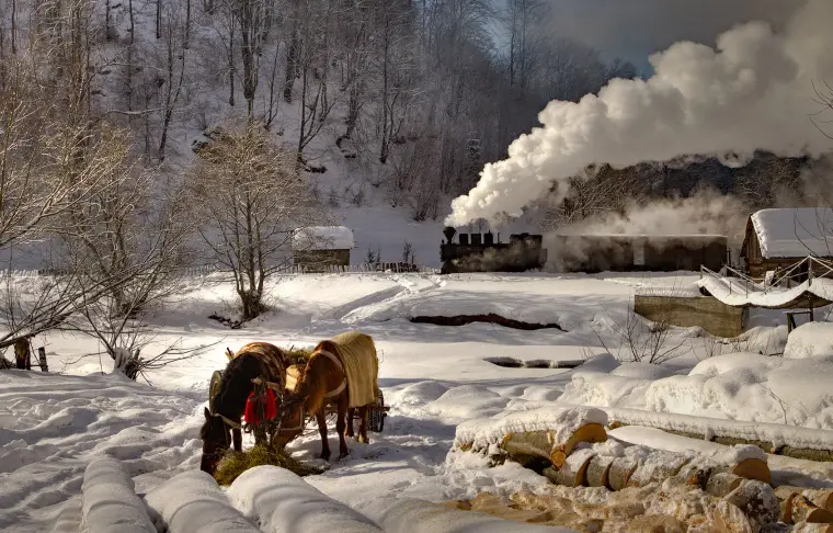 Pacote de viagem Locomotiva a Vapor