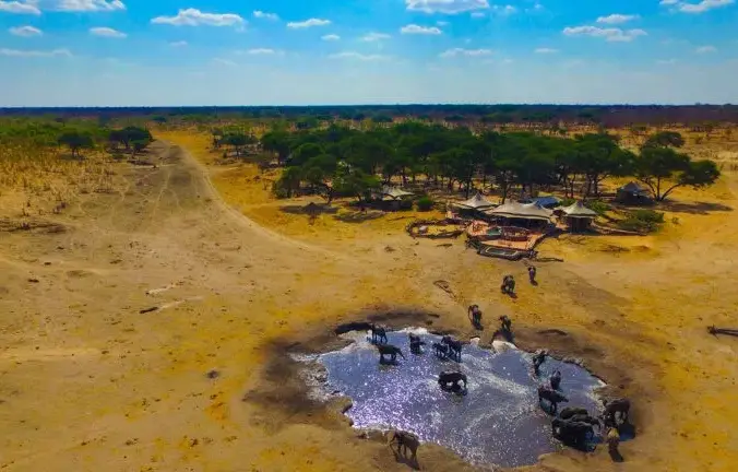 Pacote de viagem Victoria Falls e Wildlife Safari