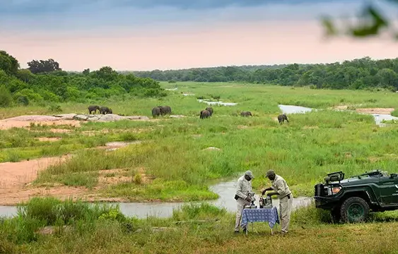 Pacote de viagem Safari na África do Sul Sabi Sand e Cape Town – Luxury
