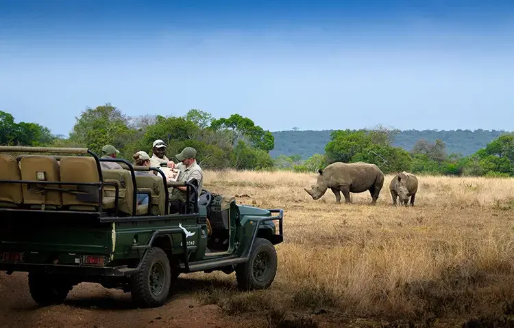 Pacote de viagem Grande Safari Deluxe na África do Sul
