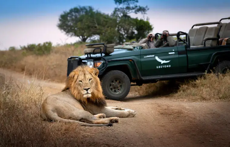 Pacote de viagem África do Sul e Safari Reservas Naturais Luxury