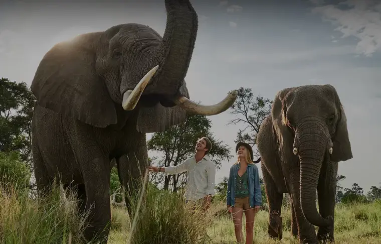 Pacote de viagem Botswana e Zâmbia by Sanctuary Retreats